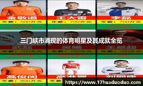 3377体育官网登录