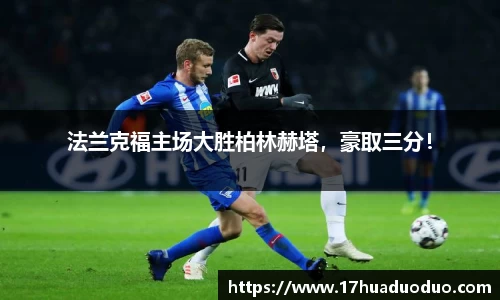 3377体育官网入口