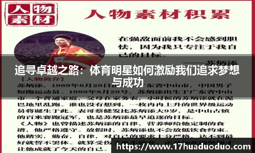 3377体育