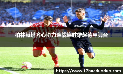 3377体育官网入口