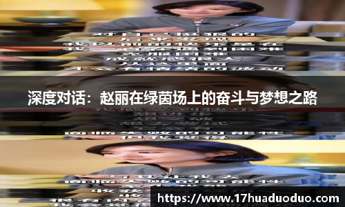 3377体育