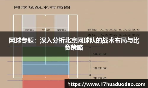 3377体育官网入口