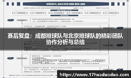 3377体育官网入口
