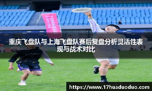 3377体育官网登录