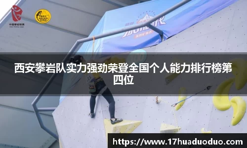 3377体育官网登录