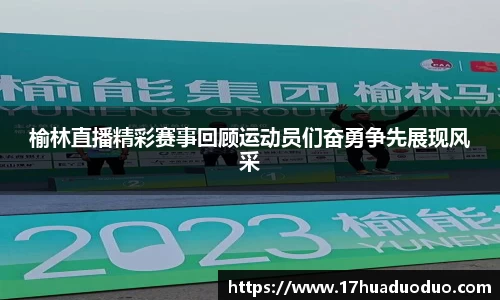 3377体育