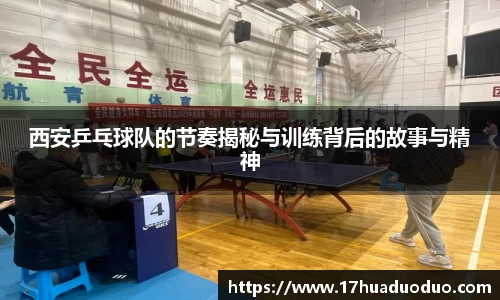 3377体育官网入口