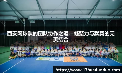3377体育官网登录