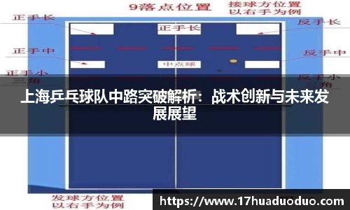 3377体育官网登录