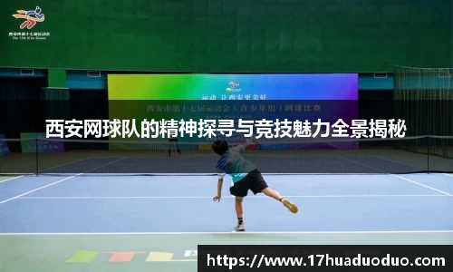 3377体育