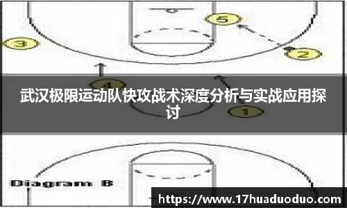 3377体育官网入口