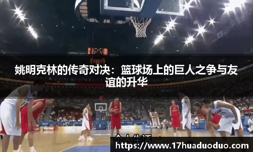 3377体育官网登录