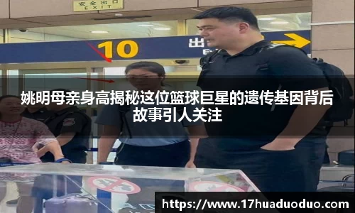 3377体育官网入口