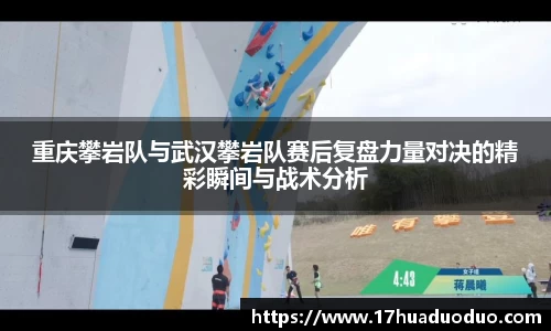 3377体育官网入口