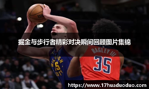 3377体育官网入口