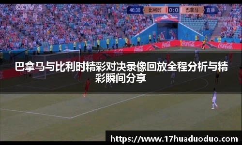 3377体育官网登录